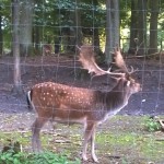 WP_20180925_030 (2)
