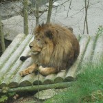 ZOO 021