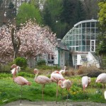 ZOO 029