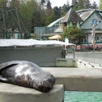 ZOO 035