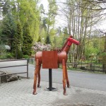 ZOO 049