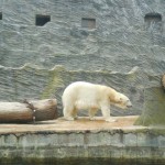 ZOO Praha 010