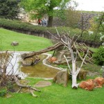 ZOO Praha 012