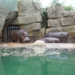 ZOO Praha 015