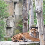 ZOO Praha 036