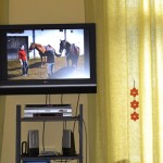 foto 029