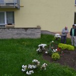 foto 036
