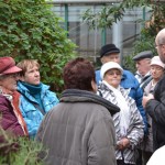 Návštěva Botanické zahrady s odborným výkladem