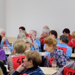 jablonecká šipka_3